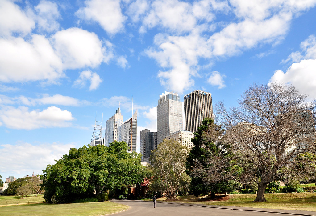 Sydney CBD from Royal Botanic Garden motiqua Flickr