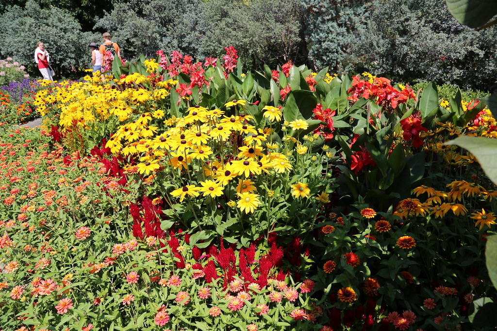 Dale Tully Botanic Gardens 2014 150 Gary Haddan Flickr