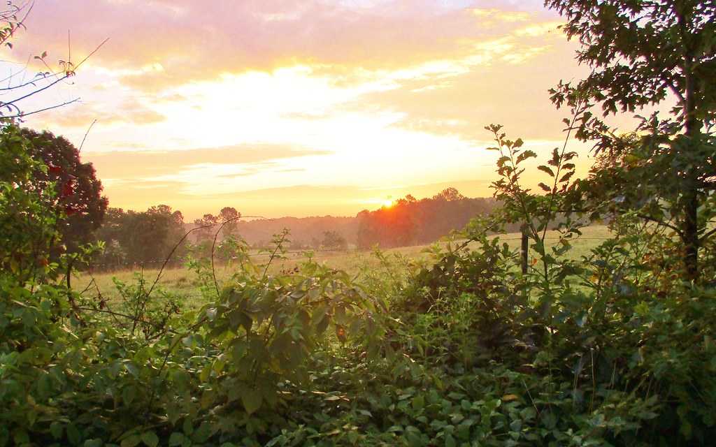 MORNING spectacular VIEW, DRY FORK, VA , HARPER FARM Flickr