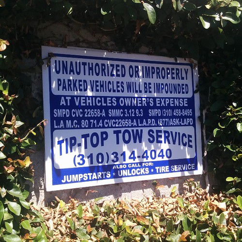 Tiptop towing in my jawwdinz tiptoewinginmyjawwdinz Flickr