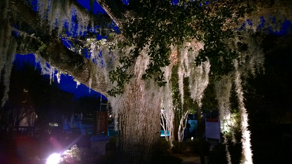 Point Clear, Alabama John Lucas Flickr