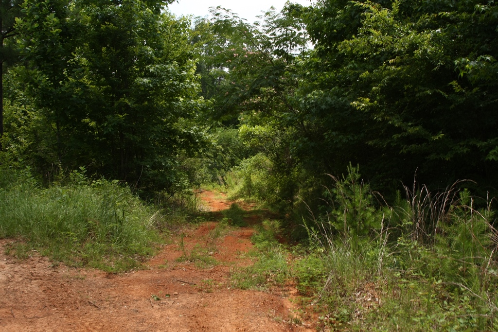 212 Acres Locust Fork River. Alabama Land Flickr