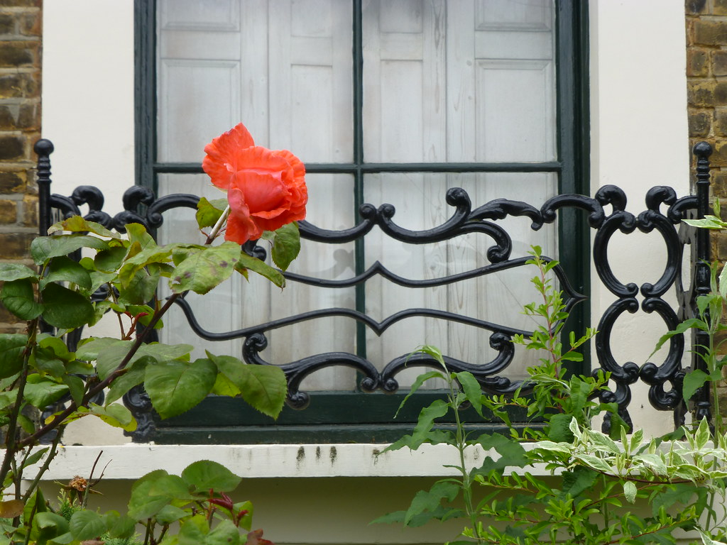 window guard, Albion Square, E8 window guard, Albion Squar… Flickr