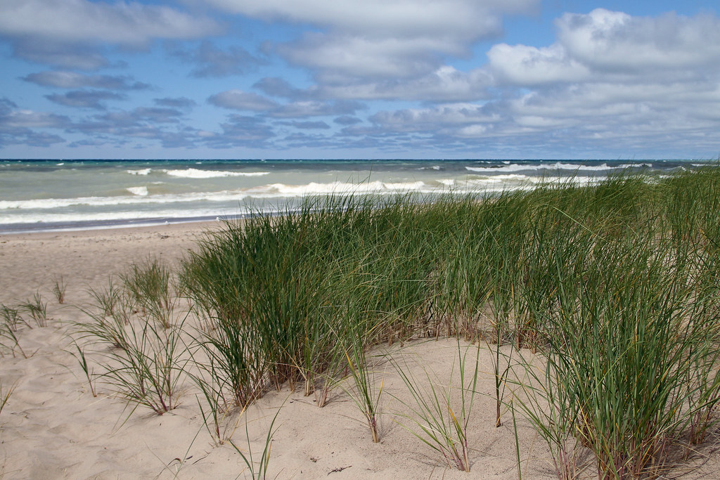 Dunbar Collection Flickr