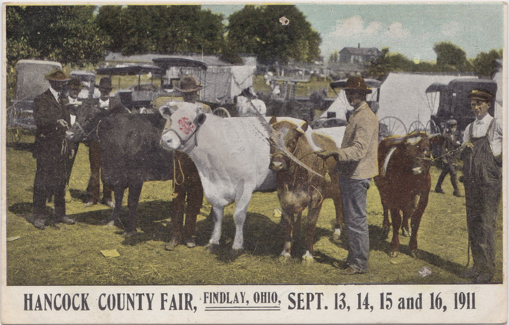 US OH Findlay OH 1911 THE HANCOCK COUNTY FAIR Showing off … Flickr