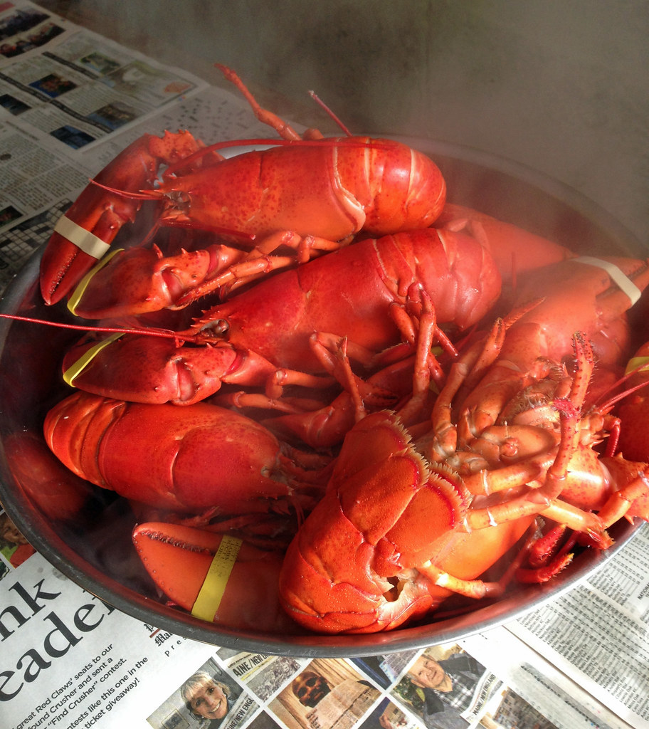 Steamy pot of Maine Lobsters Heather Paul Flickr