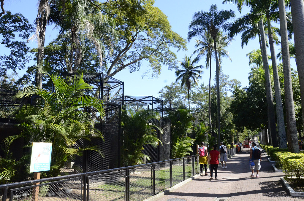 Jardim Zoológico Quinta da Boa Vista Rio de Janeiro … Flickr