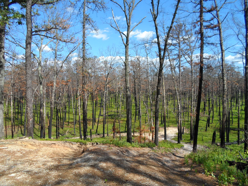 goshen pond camping and Jemima mount hike 018 woodjin Flickr