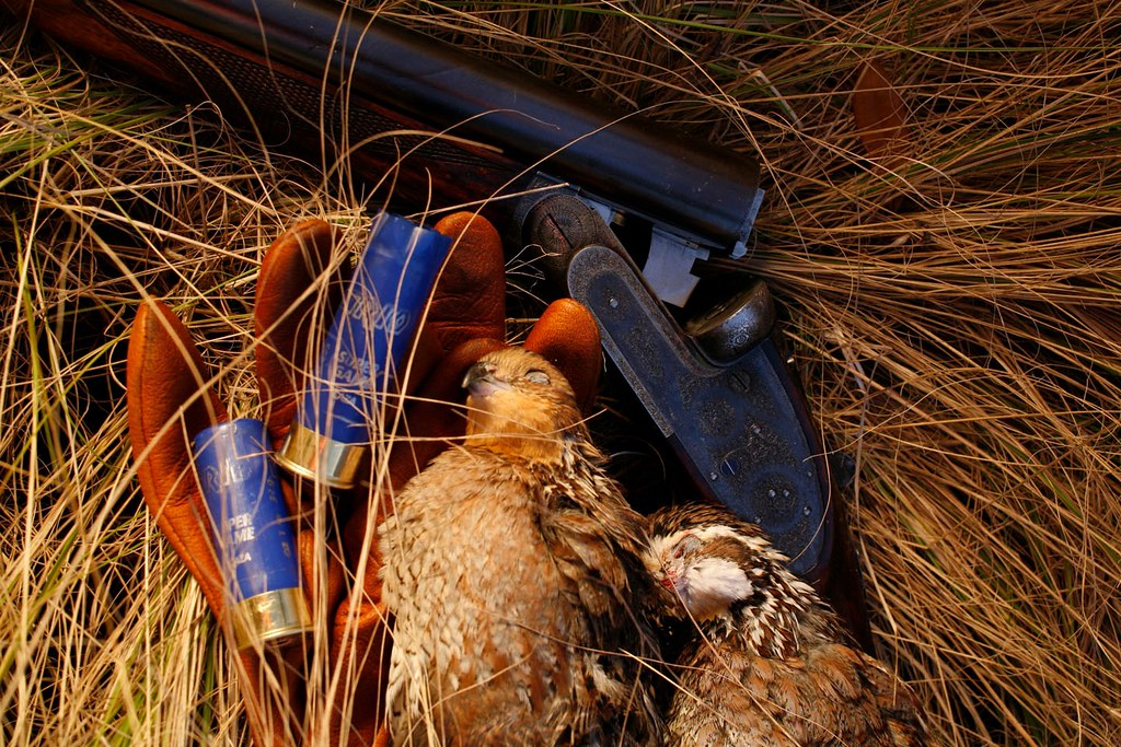 Quail Plantation Albany Antlers and Anglers Worldwide, LLC