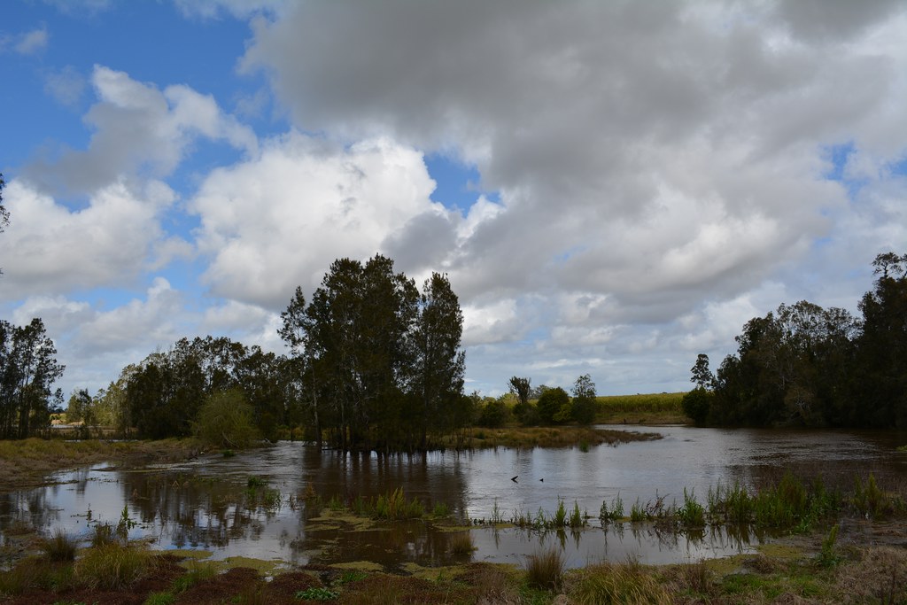 Pelican Creek bank full near Ruthven NSW AU dustaway Flickr