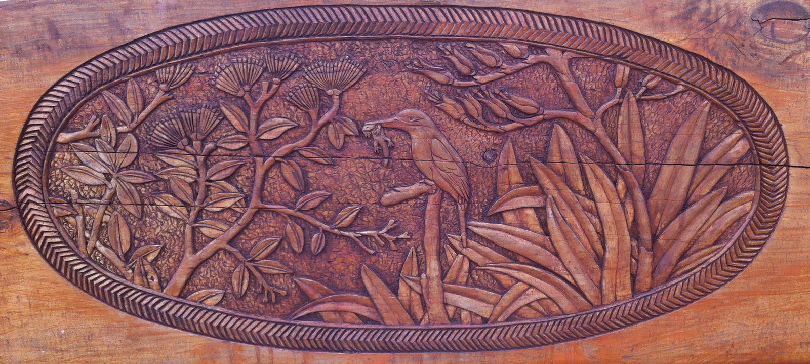 Auckland Rodney & North Shore Flickr