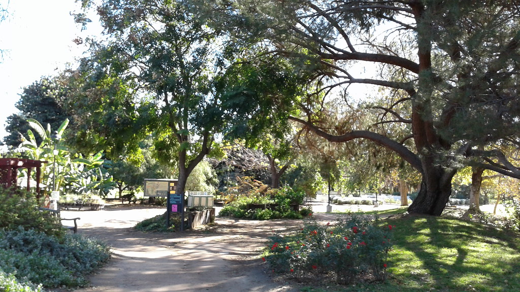 Fullerton Arboretum December 3, 2016 Daralee's Web World photos