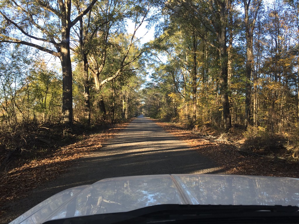 Hardwood drive near our homesite Remington3006 Flickr