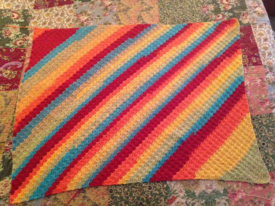 C2C Blanket with Caron Cakes Yarn Carol Flickr
