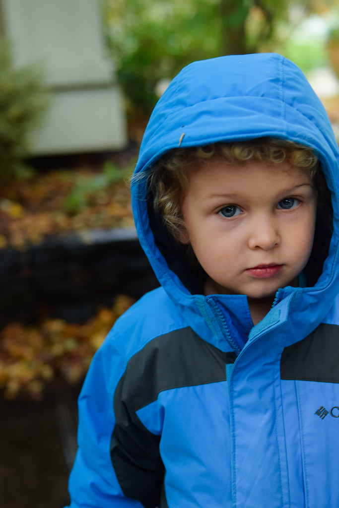 Hummingbird Nursery School Flickr