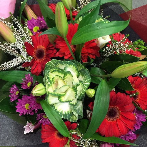 ⬅️order now Share,Like or Com… Flickr