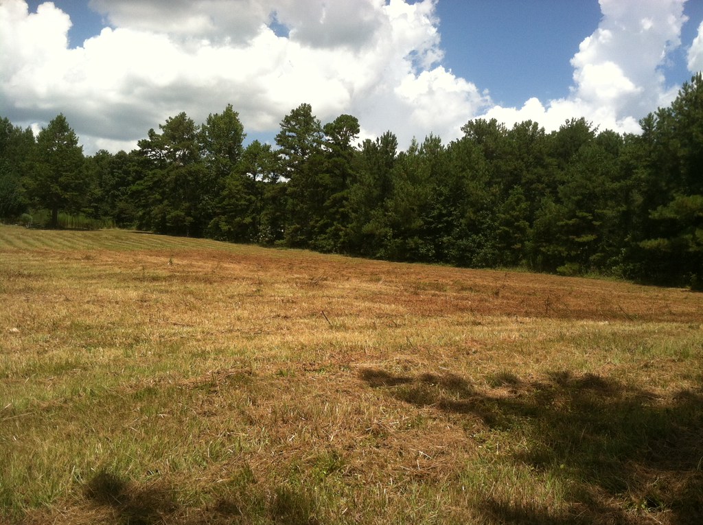 Ashville, AL 510 Acres For Sale Owner Financing is Avai… Flickr