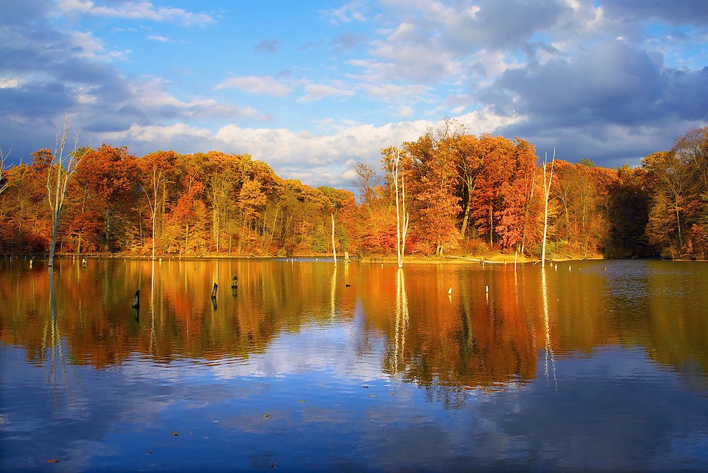 Reflection_Alum Creek Alum Creek State Park, Columbus, Ohi… Flickr