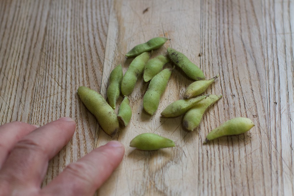 The Complete Edamame Harvest 13 beans; the 2 bushes are al… Flickr