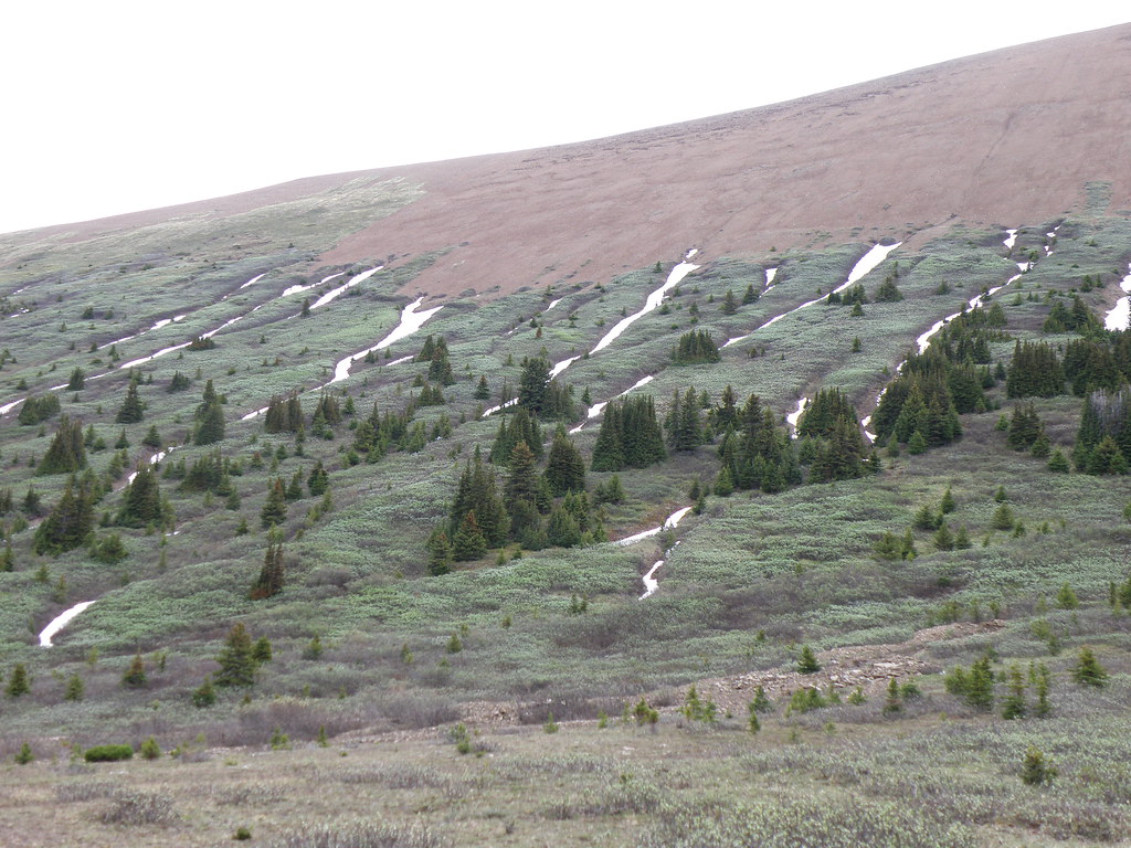Opal Hills hike, Jasper National Park, Alberta, Canada, Ju… Flickr