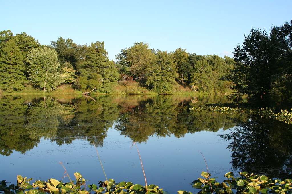 Rogers Lake Pic of Rogers Lake Robert O'Dea 619 Flickr
