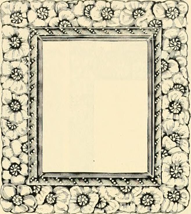 Flower Frames Flickr