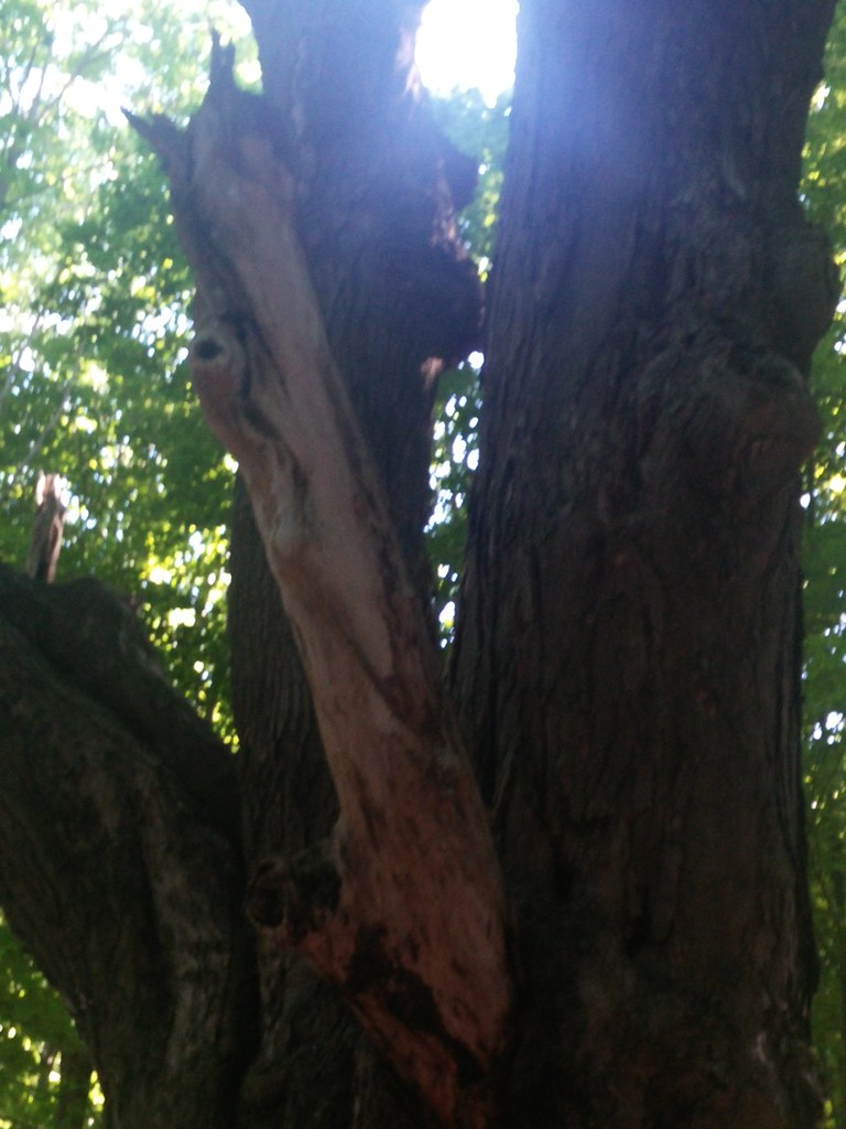 Beaver Meadow North Java, NY Debi Johnson Flickr