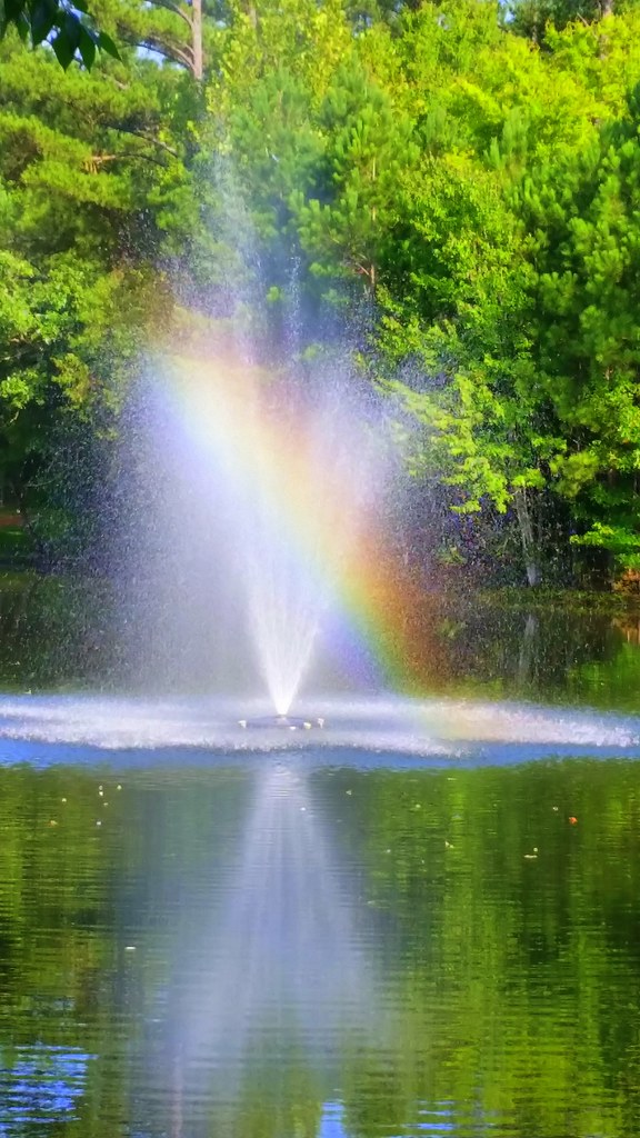 Bowie Lake at Bowie Nature Park AWJ Photography www.awjpho… Flickr