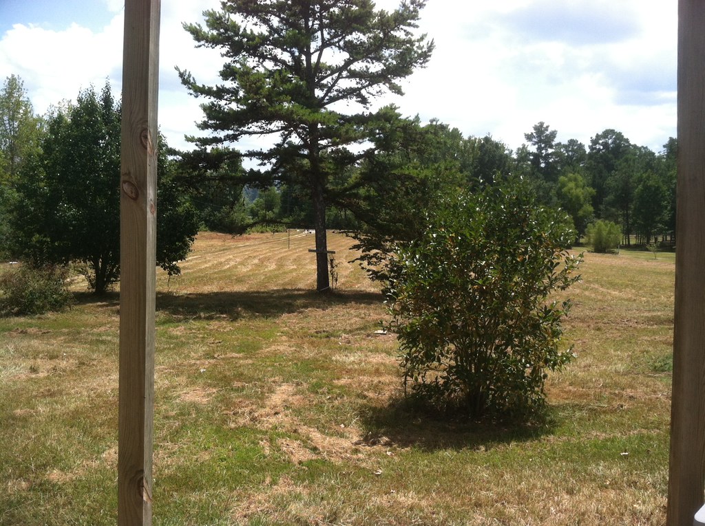 Ashville, AL 510 Acres For Sale Owner Financing is Avai… Flickr