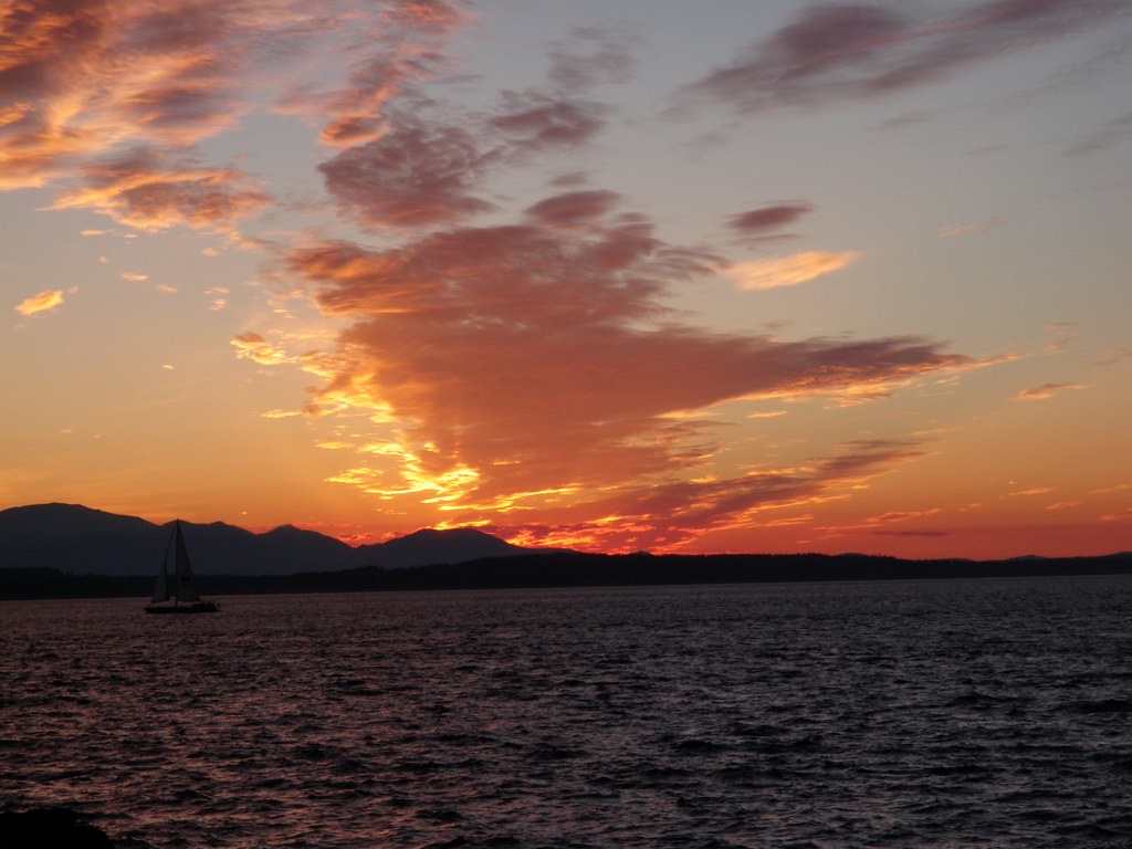 050 OLYMPUS DIGITAL CAMERA Clarissa Jarem Flickr