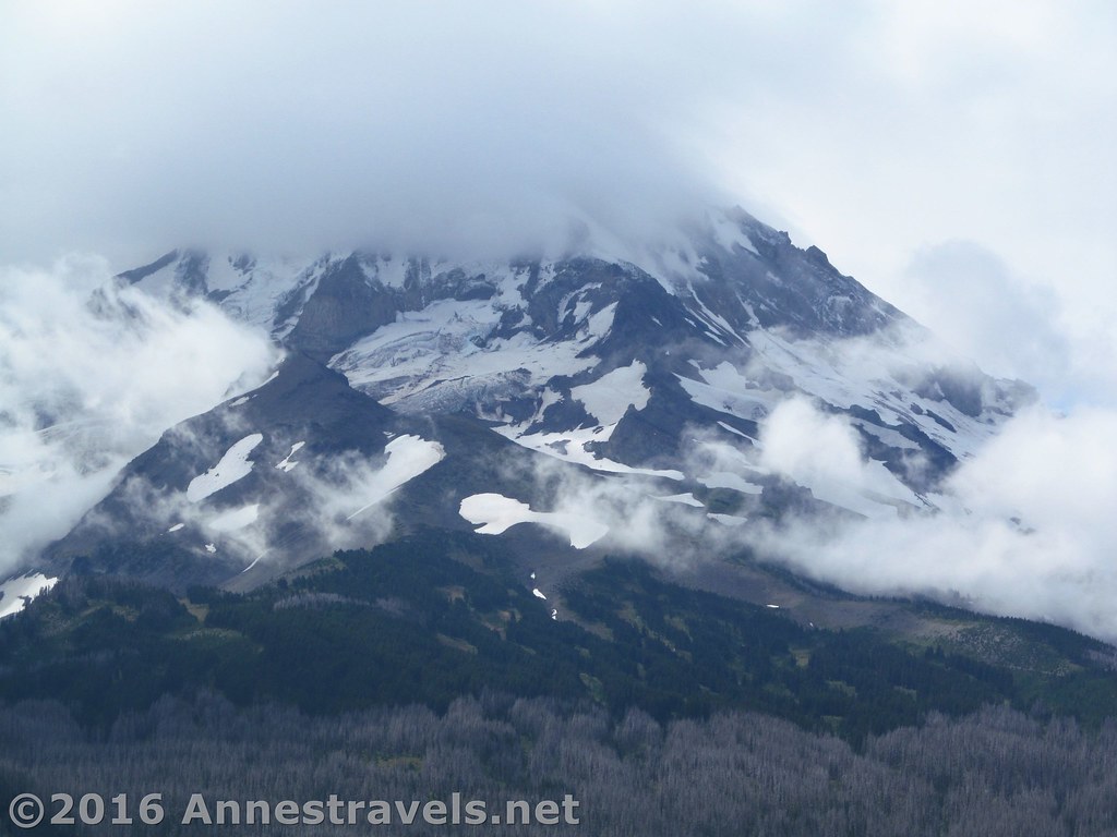 Close up of the glaciers on Mt. Hood from Owl Point Flickr