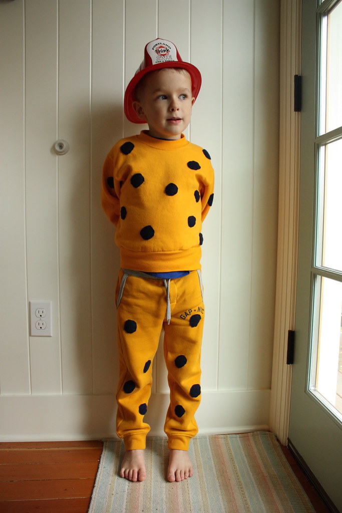 Pickle Costume For Cat