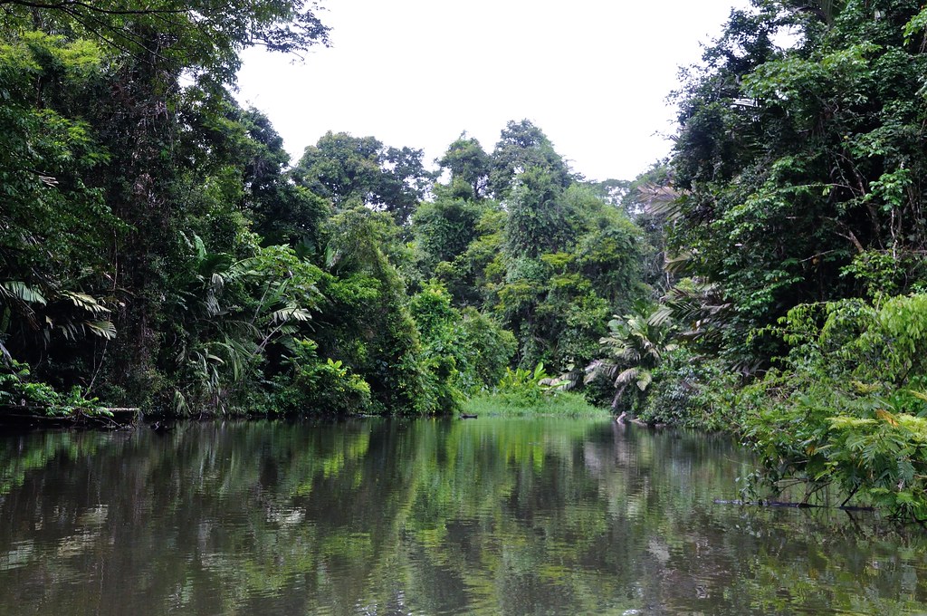 2006 Tortuguero 014 Best of Costa Rica Tour Operator DMC Flickr