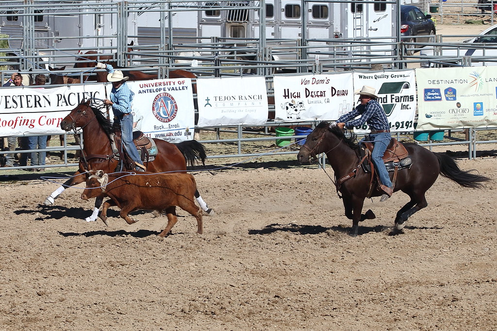 IMG_3149A Team Roping at the California Circuit Finals Rod… Flickr