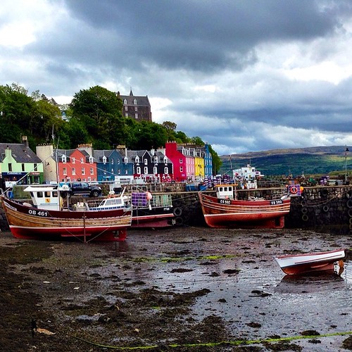 What's the story Tobermory? CatieLou Flickr