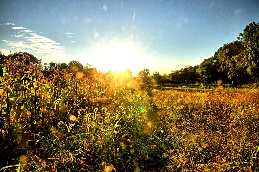 Palmer Rd, Hedgesville, WV 美國的日出日落時間表