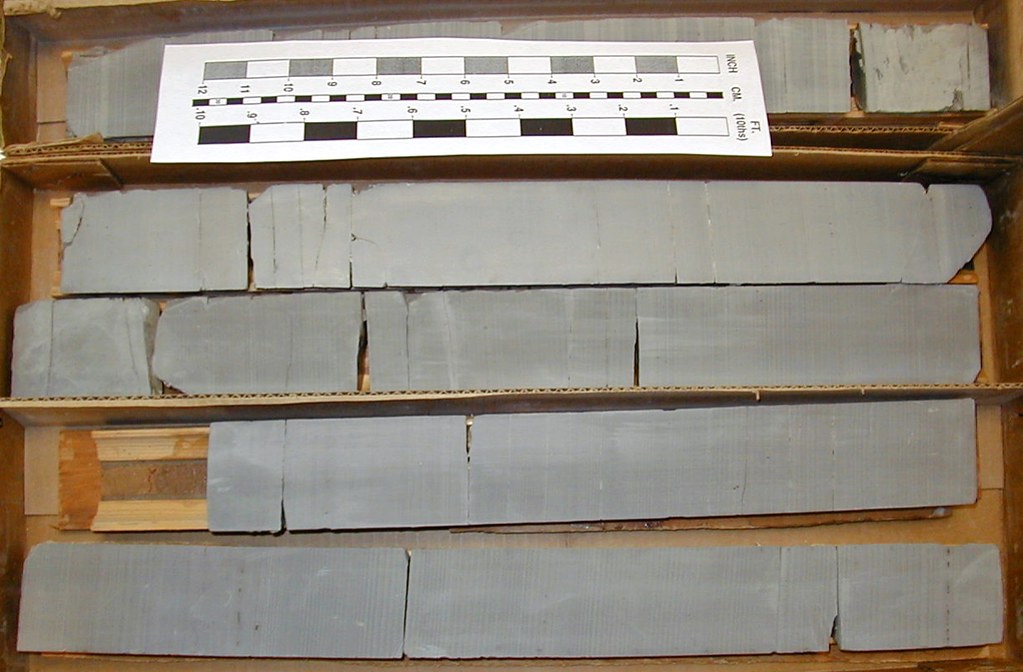 Tidalites (Francis Creek Shale, MIddle Pennsylvanian; Braidwood