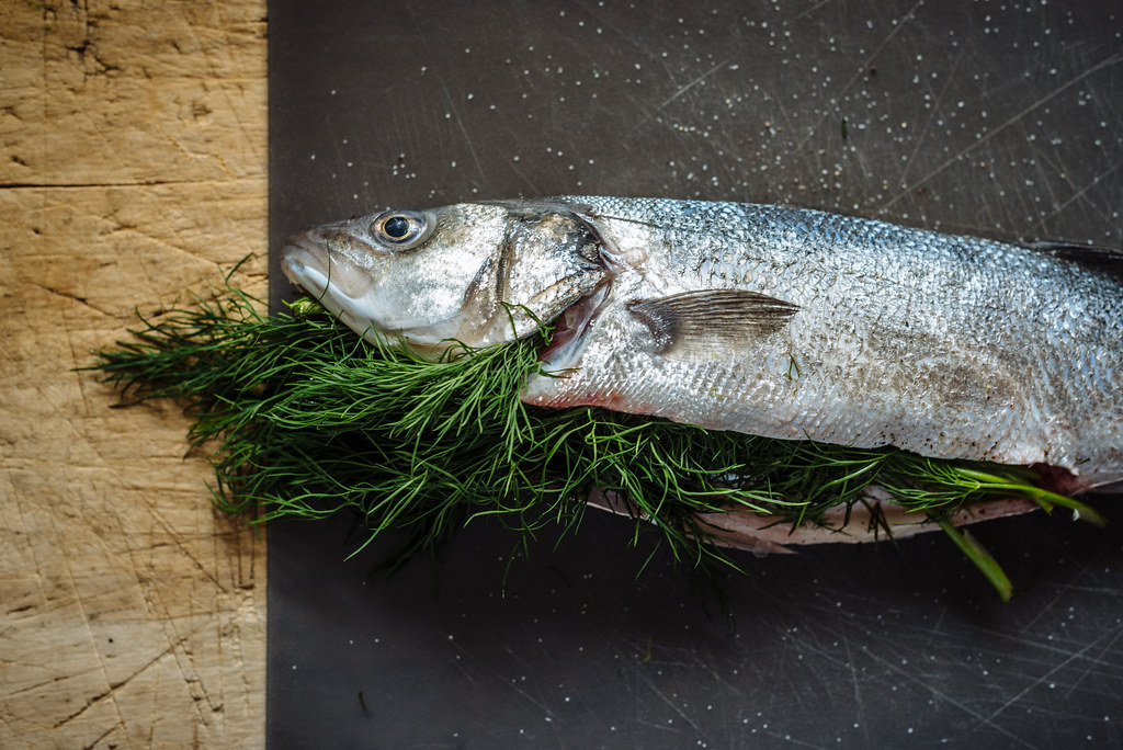 Sea bass Stijn Nieuwendijk Flickr