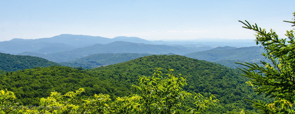 Elevation of Johnson Farms Rd, Lansing, NC, USA Topographic Map