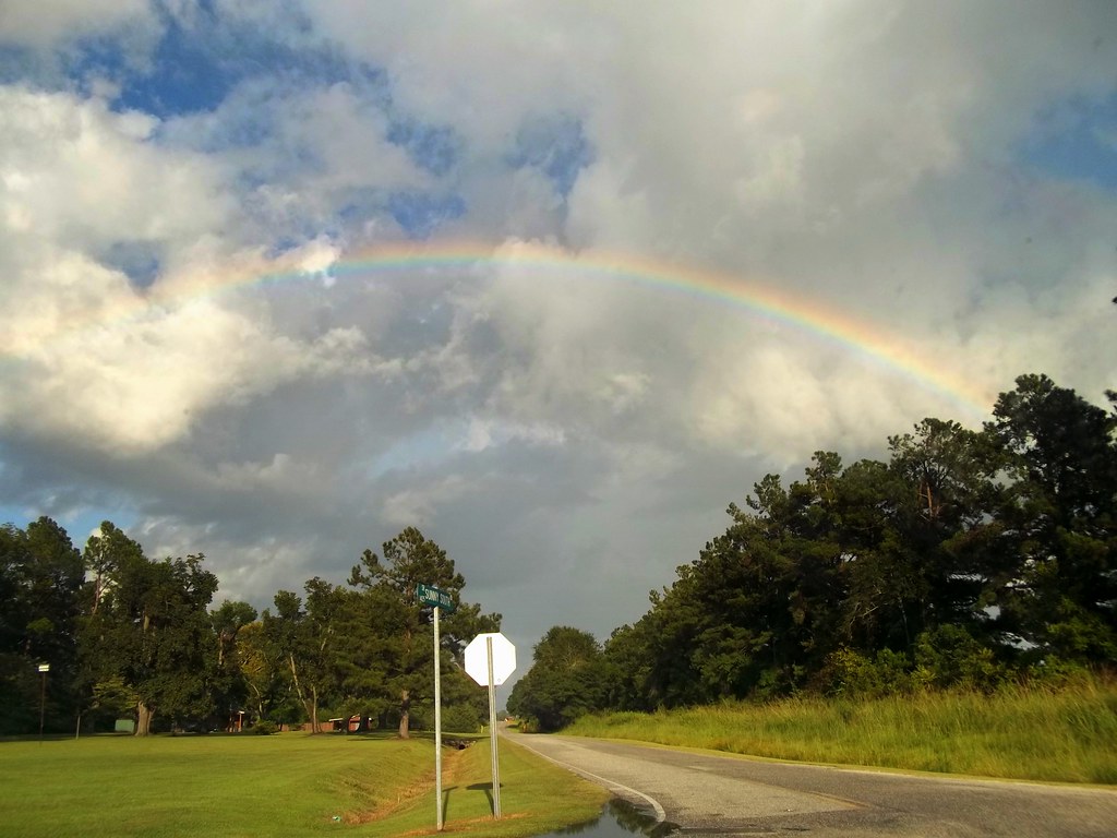 Elevation of Andrew Jackson Hwy SW, Cerro Gordo, NC, USA Topographic