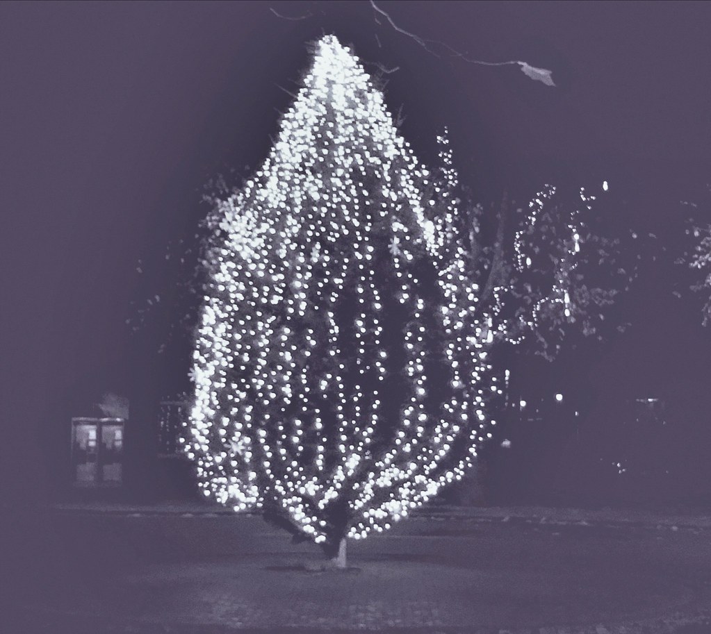 Banbury Christmas Tree. Joe Thabet Flickr