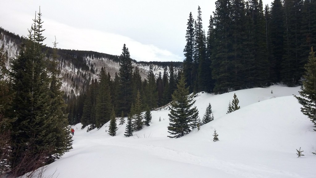 French Gulch Nick Flickr