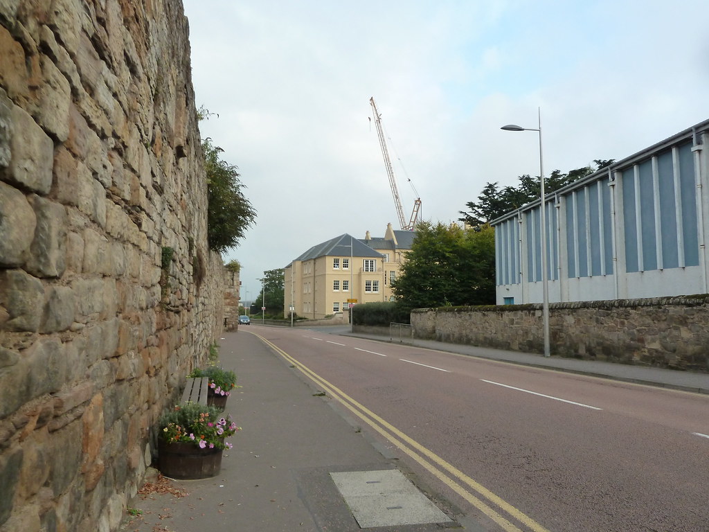 Abbey Walk St Andrews, Scotland Dunnock_D Flickr