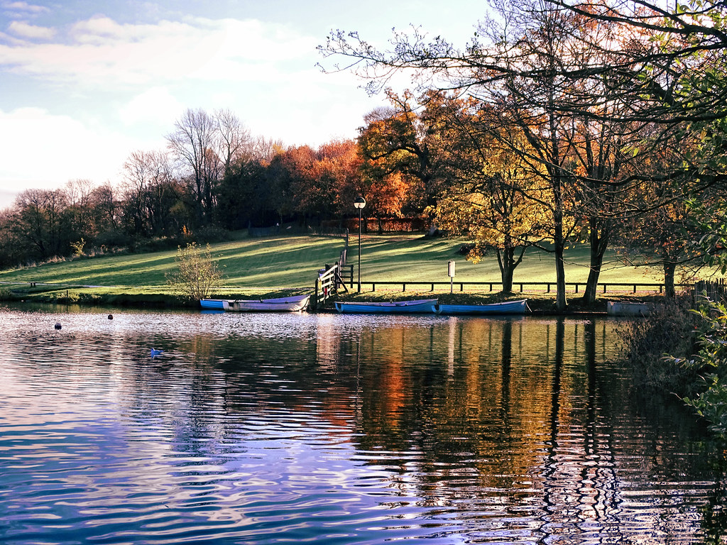 DUNGANNON PARK a photo on Flickriver