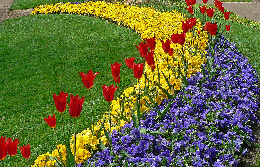 SWITZERLAND Lausanne Flowers Jacques Rollet Flickr