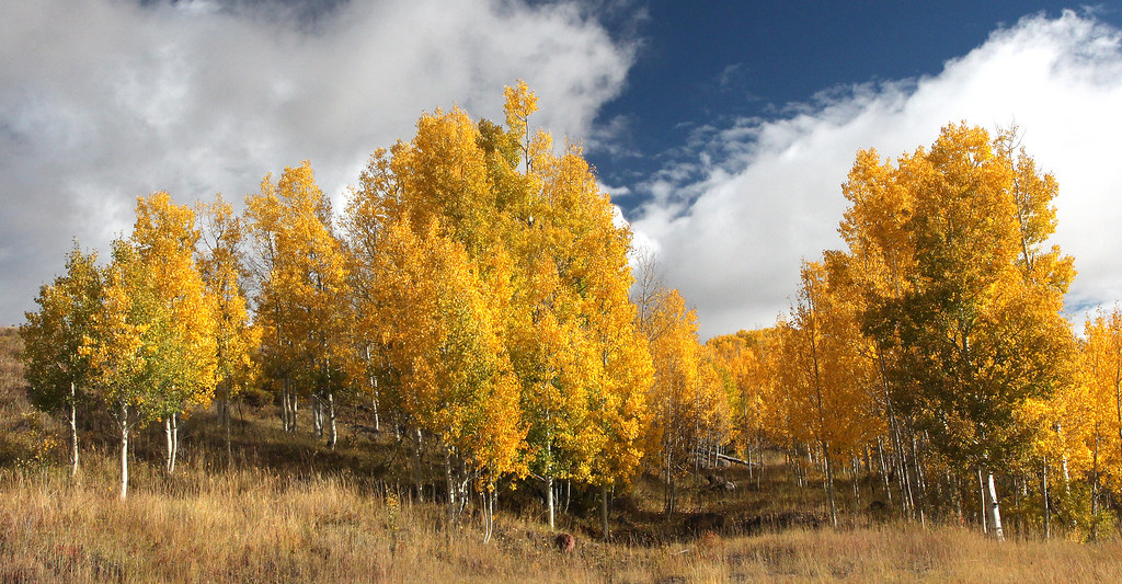 BOULDER MT, GARFIELD COUNTY, UT 20160930 fall color (1… Flickr