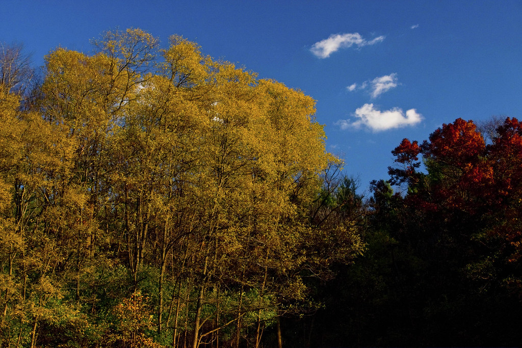 Late Autumn Rock Cut State Park Loves Park Illinois 1132016 273 a