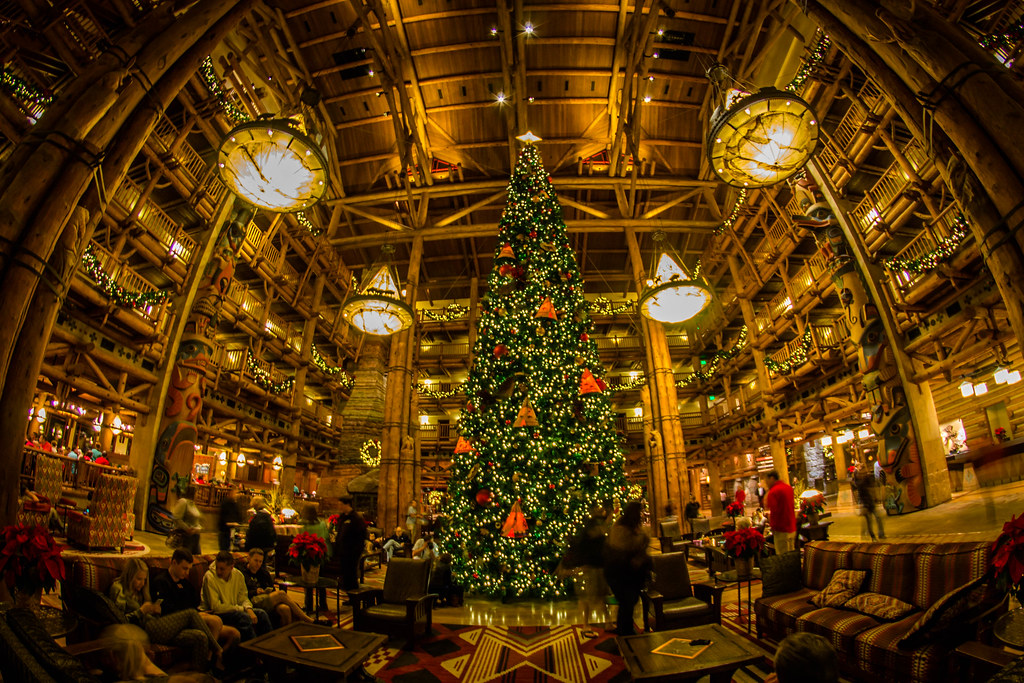 A Christmas Tree in the Wilderness (Lodge) John Malone Flickr