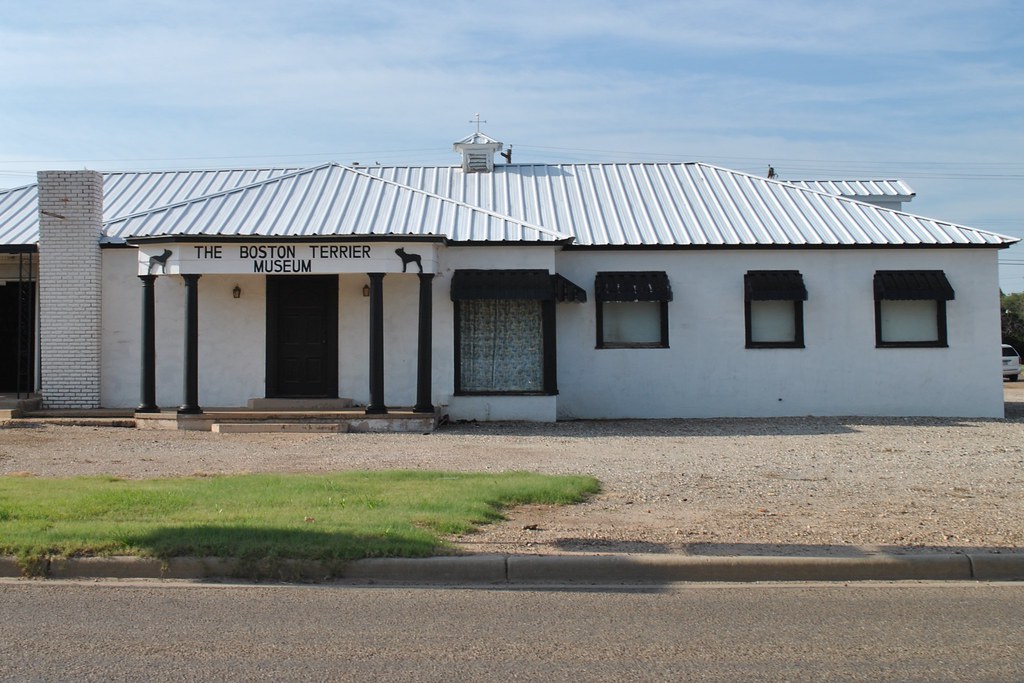 Boston Terrier Museum Floydada 2014 6499 Floydada TX Bosto… Flickr