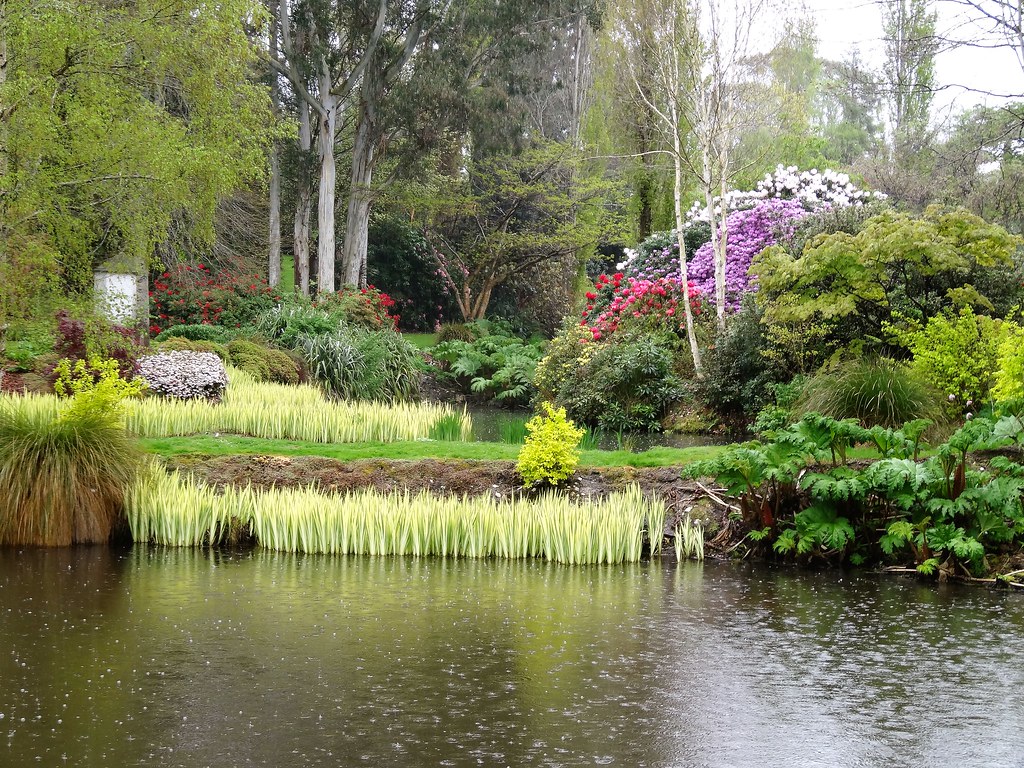 Wyndham. Near Invercargill. Maple Glen garden with one of … Flickr